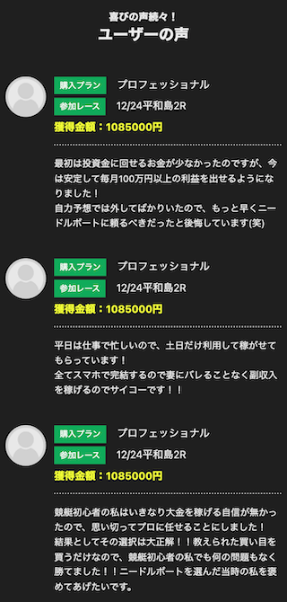 ニードルボートの「ユーザーの声」