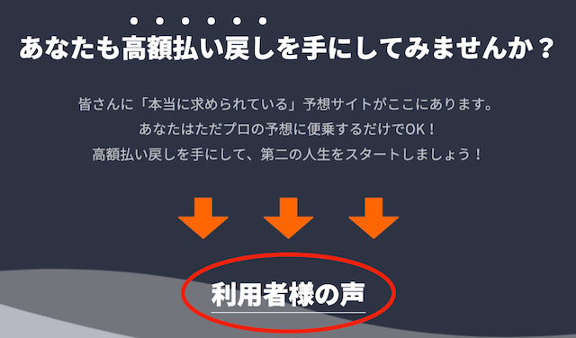 フネカツの「利用者の声」