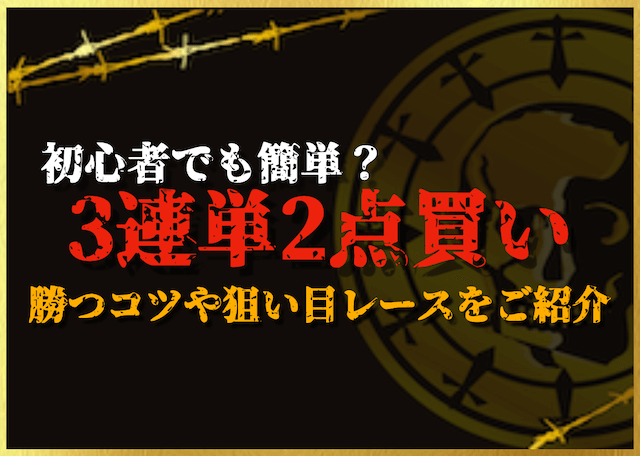 3連単2点買いのサムネイル